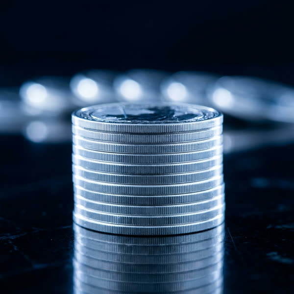 Silver bullion coins